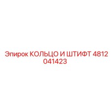 4812041423 КОЛЬЦО И ШТИФТ Epiroc