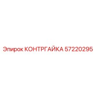 57220295 КОНТРГАЙКА Epiroc