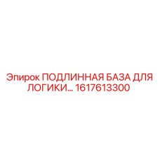 1617613300 ПОДЛИННАЯ БАЗА ДЛЯ ЛОГИКИ Epiroc