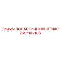 2657192106 ЛОПАСТИЧНЫЙ ШТИФТ Epiroc