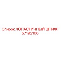 57192106 ЛОПАСТИЧНЫЙ ШТИФТ Epiroc