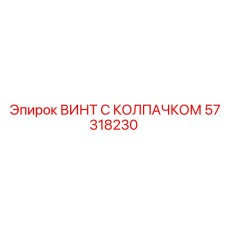 Винт 57318230 с демпфирующими свойствами Epiroc