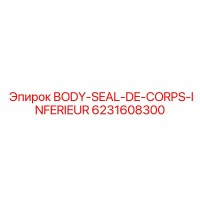 6231608300 BODY-SEAL-DE-CORPS-INFERIEUR Epiroc