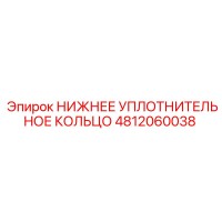 4812060038 НИЖНЕЕ УПЛОТНИТЕЛЬНОЕ КОЛЬЦО Epiroc