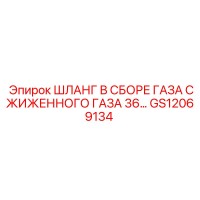 GS12069134 ШЛАНГ В СБОРЕ ГАЗА СЖИЖЕННОГО ГАЗА 36… Epiroc