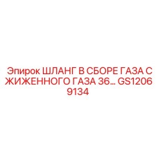 GS12069134 ШЛАНГ В СБОРЕ ГАЗА СЖИЖЕННОГО ГАЗА 36… Epiroc