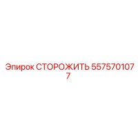 5575701077 СТОРОЖИТЬ Epiroc