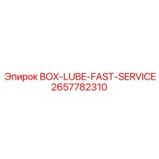 2657782310 BOX-LUBE-FAST-SERVICE Epiroc