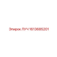 1613685201 ЛУЧ Epiroc