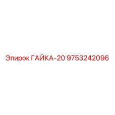 9753242096 ГАЙКА-20 Epiroc