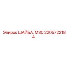 2205722184 ШАЙБА, М30 Epiroc