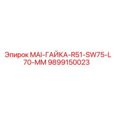 9899150023 MAI-ГАЙКА-R51-SW75-L70-MM Epiroc