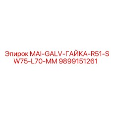 9899151261 MAI-GALV-ГАЙКА-R51-SW75-L70-MM Epiroc