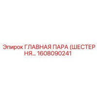 1608090241 ГЛАВНАЯ ПАРА (ШЕСТЕРНЯ…) Epiroc