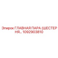 1092903810 ГЛАВНАЯ ПАРА (ШЕСТЕРНЯ…) Epiroc