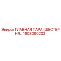 1608090203 ГЛАВНАЯ ПАРА (ШЕСТЕРНЯ…) Epiroc