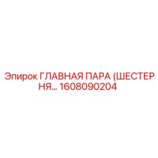 1608090204 ГЛАВНАЯ ПАРА (ШЕСТЕРНЯ…) Epiroc