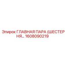 1608090219 ГЛАВНАЯ ПАРА (ШЕСТЕРНЯ…) Epiroc