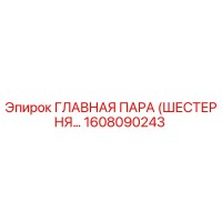 1608090243 ГЛАВНАЯ ПАРА (ШЕСТЕРНЯ…) Epiroc