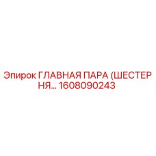1608090243 ГЛАВНАЯ ПАРА (ШЕСТЕРНЯ…) Epiroc