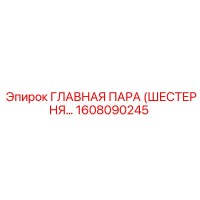 1608090245 ГЛАВНАЯ ПАРА (ШЕСТЕРНЯ…) Epiroc