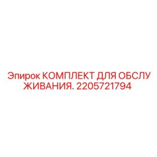 2205721794 КОМПЛЕКТ ДЛЯ ОБСЛУЖИВАНИЯ Эпирок