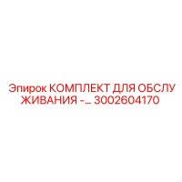3002604170 КОМПЛЕКТ ДЛЯ ОБСЛУЖИВАНИЯ - Epiroc