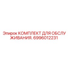 6996012231 КОМПЛЕКТ ДЛЯ ОБСЛУЖИВАНИЯ Epiroc