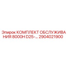2904021900 КОМПЛЕКТ ОБСЛУЖИВАНИЯ 8000H D25 Epiroc