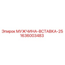 1636003483 МУЖЧИНА-ВСТАВКА-25 Epiroc