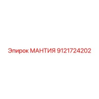 9121724202 МАНТИЯ Эпирок