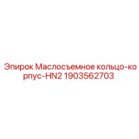 1903562703 Маслосъемное кольцо корпус HN2 Epiroc
