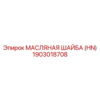 1903018708 МАСЛЯНАЯ ШАЙБА HN | Epiroc