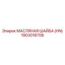 1903018708 МАСЛЯНАЯ ШАЙБА HN | Epiroc
