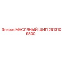 2913109800 МАСЛЯНЫЙ ЩИП Epiroc