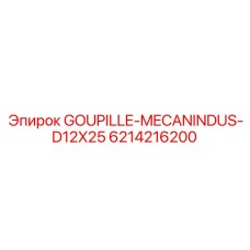 6214216200 GOUPILLE-MECANINDUS-D12X25 Epiroc
