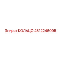 4812246095 КОЛЬЦО Epiroc