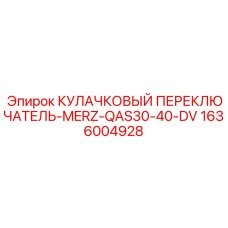 1636004928 КУЛАЧКОВЫЙ ПЕРЕКЛЮЧАТЕЛЬ-MERZ-QAS30-40-DV Epiroc