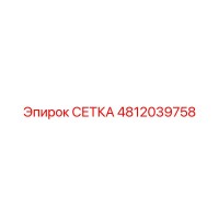 4812039758 СЕТКА Epiroc