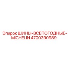 4700390989 ШИНЫ ВСЕПОГОДНЫЕ MICHELIN Epiroc