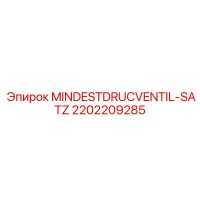 2202209285 MINDESTDRUCVENTIL-SATZ | Epiroc