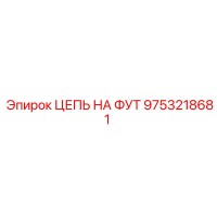 9753218681 ЦЕПЬ НА ФУТ Epiroc