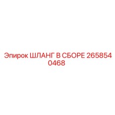2658540468 ШЛАНГ В СБОРЕ Эпирок