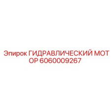 6060009267 ГИДРАВЛИЧЕСКИЙ МОТОР Epiroc