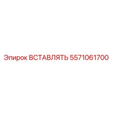 5571061700 ВСТАВЛЯТЬ Эпирок (Epiroc)