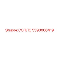5590006419 СОПЛО Epiroc