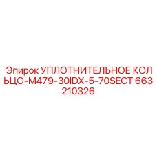 663210326 УПЛОТНИТЕЛЬНОЕ КОЛЬЦО-M479-30IDX-5-70SECT Epiroc