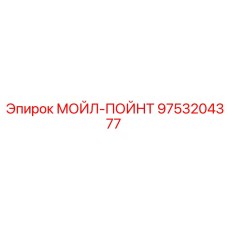 9753204377 МОЙЛ-ПОЙНТ Epiroc