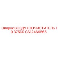 GS12469565 ВОЗДУХООЧИСТИТЕЛЬ 10 375DR | Epiroc