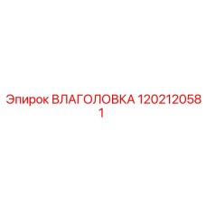 1202120581 ВЛАГОЛОВКА Epiroc